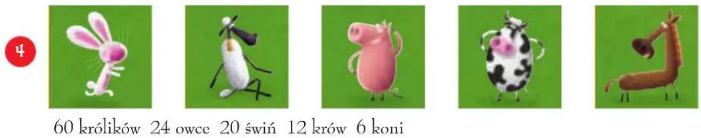 Granna Super Farmer z Rancha - Zawartość pudełka: - 1