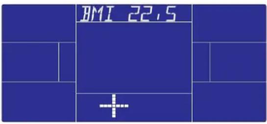 BMI 22.5 +