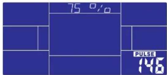 75 % PULSE 146