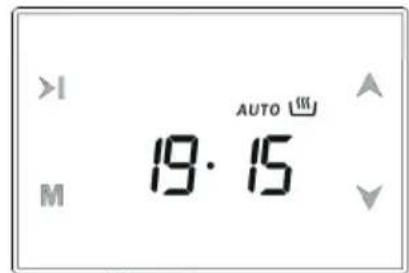 Smith&Brown SOE-S424-BP26 - Automatyczne pieczenie - 9