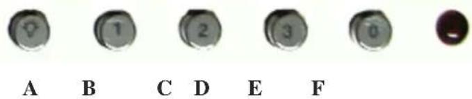 A B C D E F