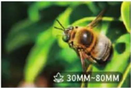 APEXEL APL-HB170SW - Obiektyw makro 30 mm \~ 80 mm (APL-HB3080) - 2