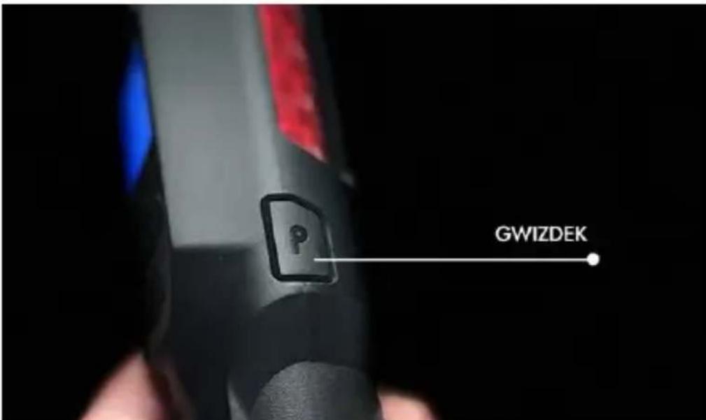GWIZDEK