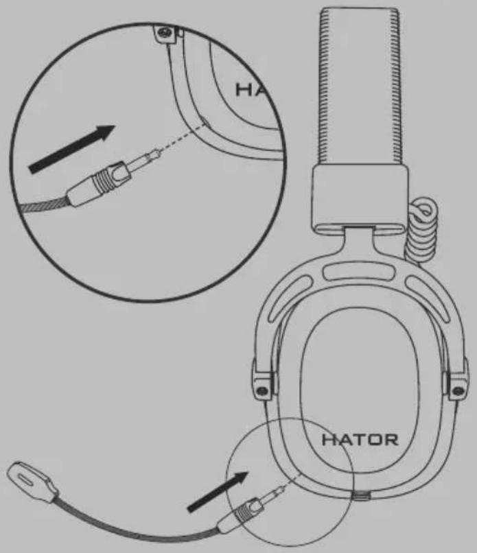 HA HATOR