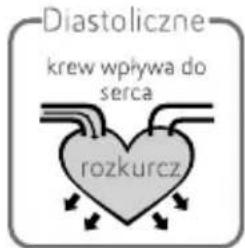 Diastoliczne krew wpływa do serca rozkurcz
