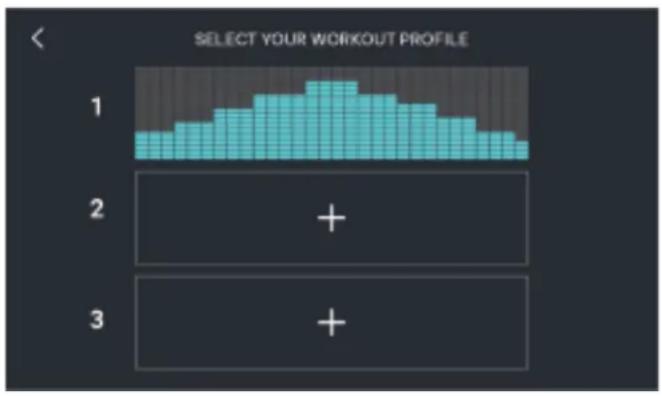 SELECT YOUR WORKOUT PROFILE 1 2 + 3 +