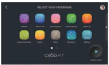 SELECT YOUR PROGRAMS Manual Audio Flow AudioWater AudioCapture AudioUp Interactivity Office Garry Realizer Audio CYDO.RIT