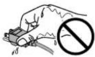 EIZO FlexScan S2001WH - Do not touch the plug with wet hands. - 1