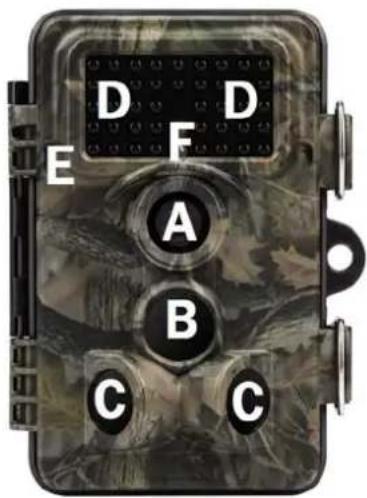 D D E F A B C C