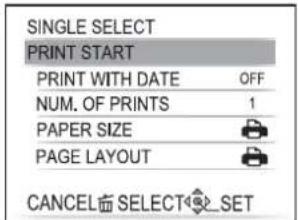 PANASONIC Lumix DMC-FT1EG-G - Press ▲ to select [PRINT START] and then press [MENU/SET]. - 1