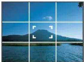 PANASONIC Lumix DMC-FT1EG-G - ■ Recording guide line - 1