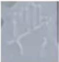 Handy SH41N123L - INSTRUKCJA ORYGINALNA PL - 6