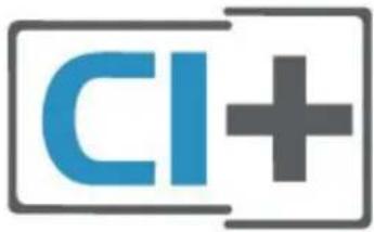 CI+