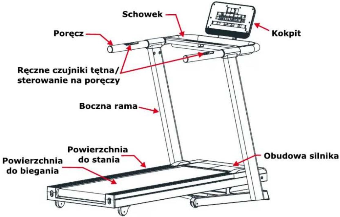 Schowek Kokpit Poręcz Ręczne czujniki tętna/ sterowanie na poręczy Boczna rama Powierzchnia do stania Obudowa silnika Powierzchnia do biegania