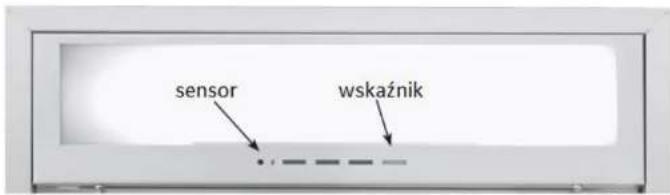 sensor wskaźnik