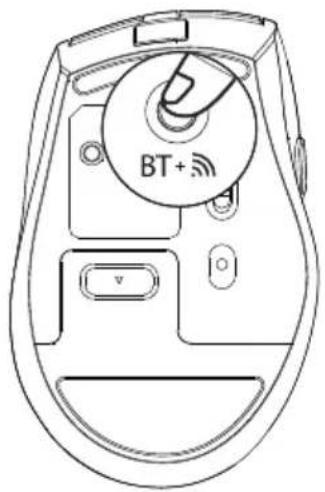 BT+