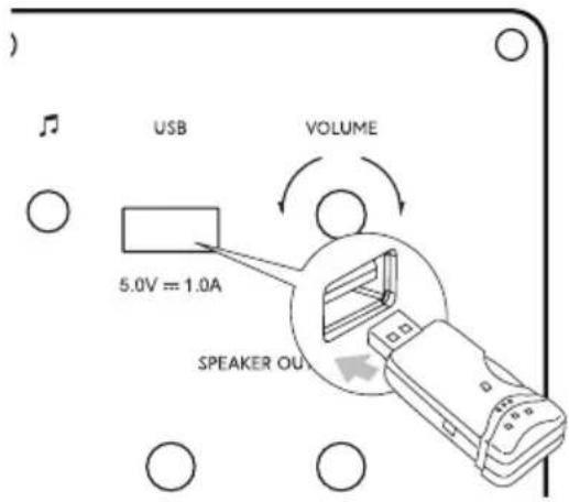 Taga Harmony TAV-500B v.2 - Podłączanie pamięci USB - 1