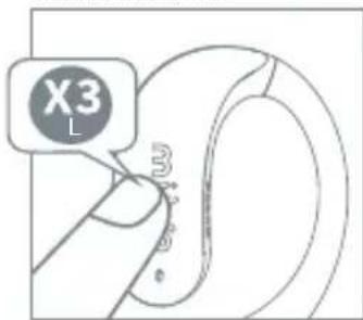 X3 L