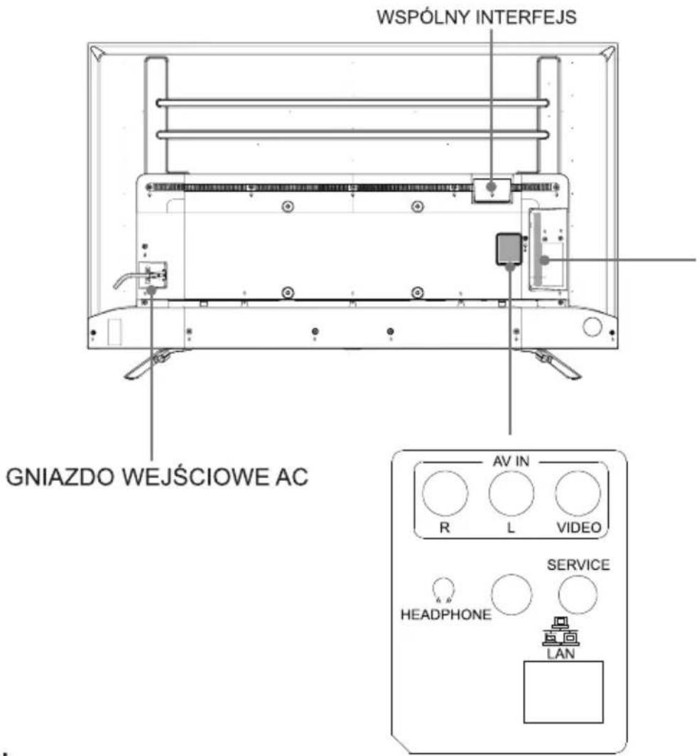 HISENSE 55E76GQ - Tyl telewizora - 1