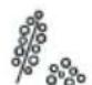 WHIRLPOOL MWP 338 SX - UWAGA: - 181