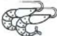 WHIRLPOOL MWP 338 SX - UWAGA: - 143