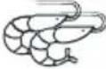 WHIRLPOOL MWP 338 SX - UWAGA: - 141