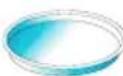 WHIRLPOOL MCP 346 - GRILL - 12