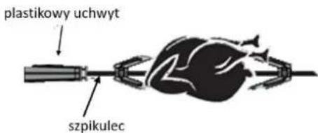 plastikowy uchwyt szpikulec