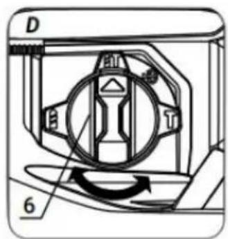 D 6