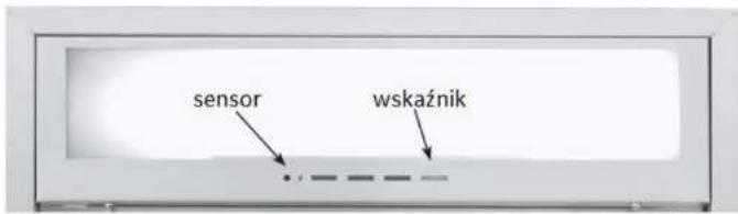 sensor wskaźnik