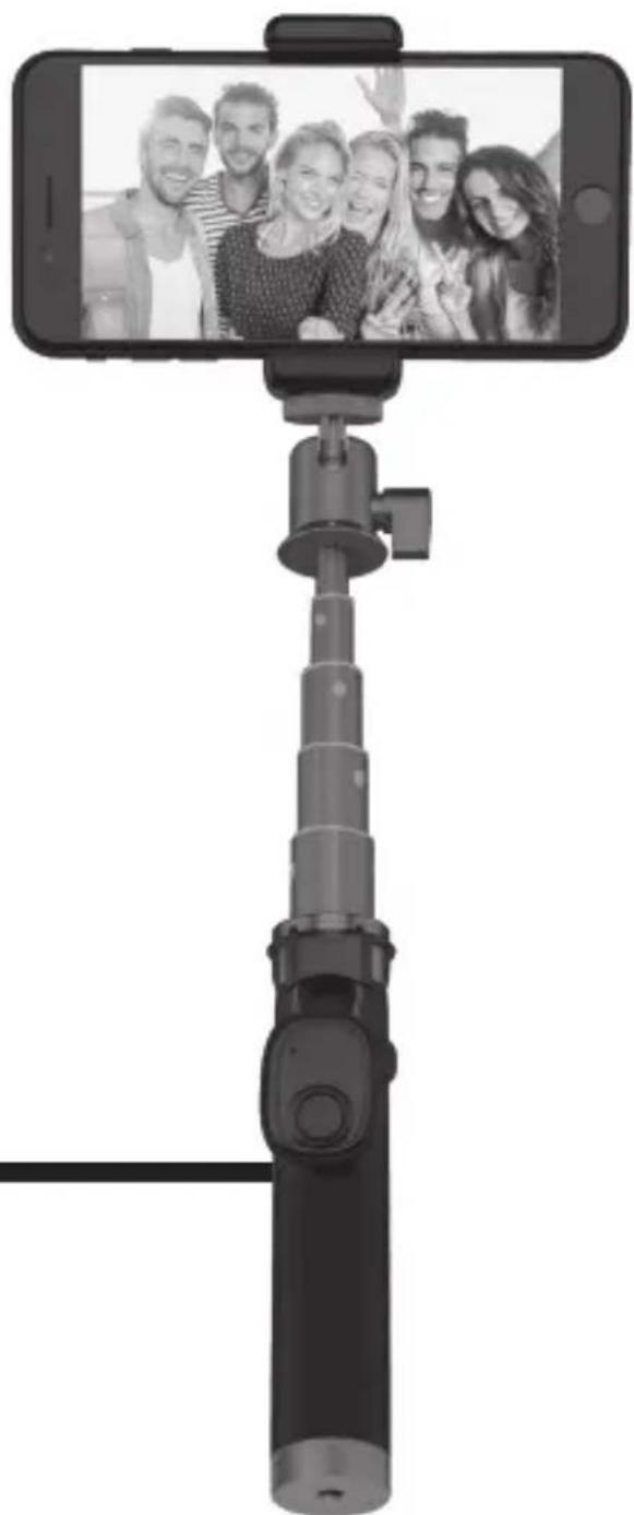 VÖGEL BSF701 - 1