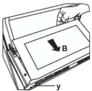 B y