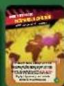 Rebel Pandemic: Stan zagrożenia - żetonów kwarantanny - 7