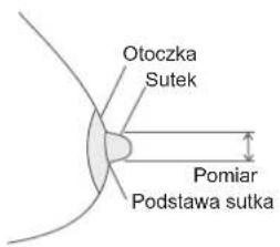 Otoczka Sutek Pomiar Podstawa sutka