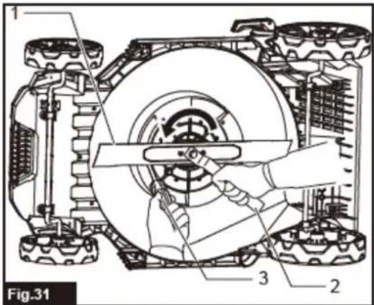 Fig.31