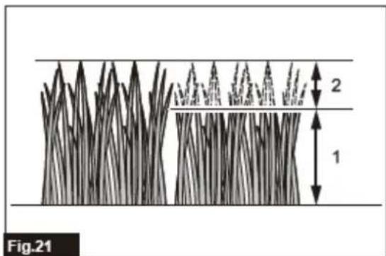 Fig.21