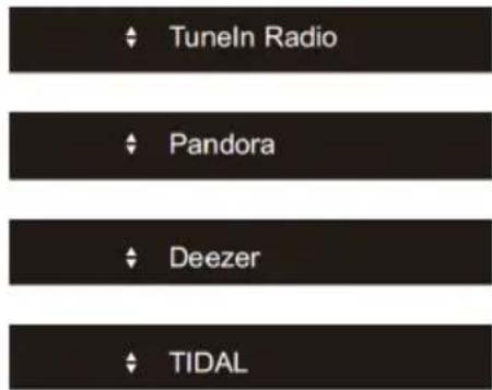 Tuneln Radio Pandora Deezer TIDAL