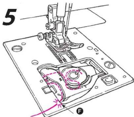 5 F