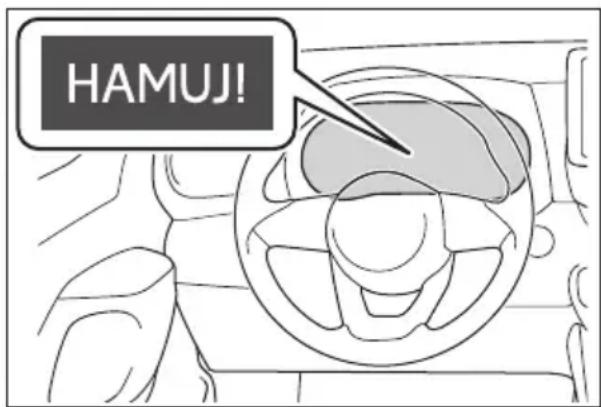 HAMUJ!