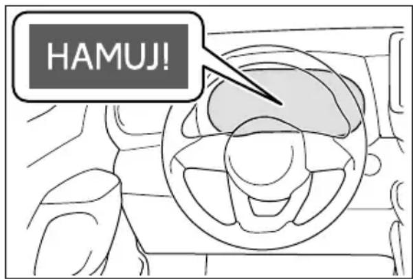 HAMUJ!