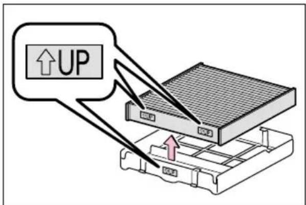 ↑UP