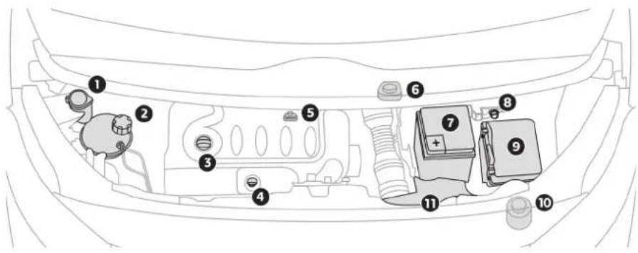 TOYOTA PROACE (2016) - Silnik Diesla - 1