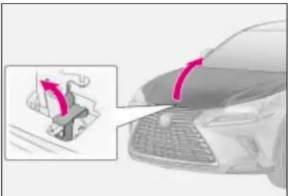 LEXUS NX 300 (2017) - Otwieranie pokrywy silnika - 2