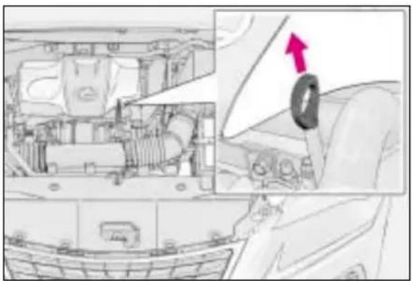 LEXUS NX 300 (2017) - Sprawdzanie poziomu i dolewanie oleju silnikowego - 1