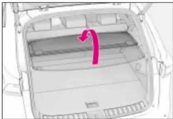 LEXUS NX 300 (2017) - Przechowywanie półki bagażnika - 2