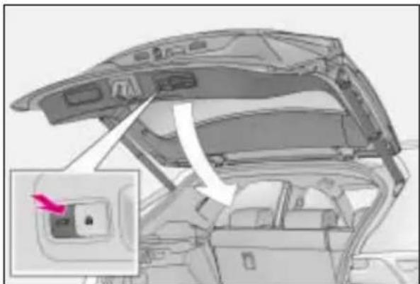 LEXUS NX 300 (2017) - Otwieranie/zamykanie drzwi bagażnika (wersje z elektrycznie sterowanymi drzwiami bagażnika) - 4