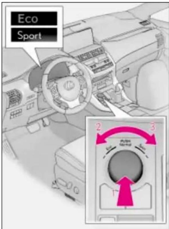 Eco Sport 2 3 1