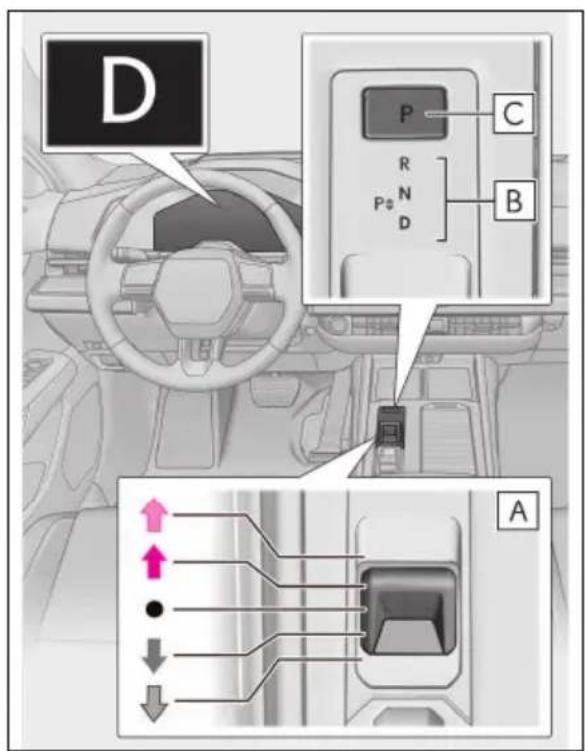 D P C R N B Pφ D A