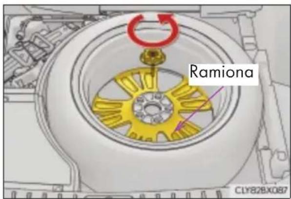 Ramiona CLY82BX087