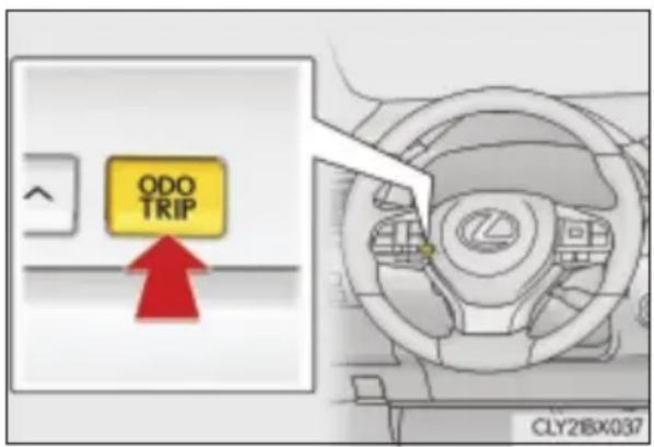 ODO TRIP CLY21BX037